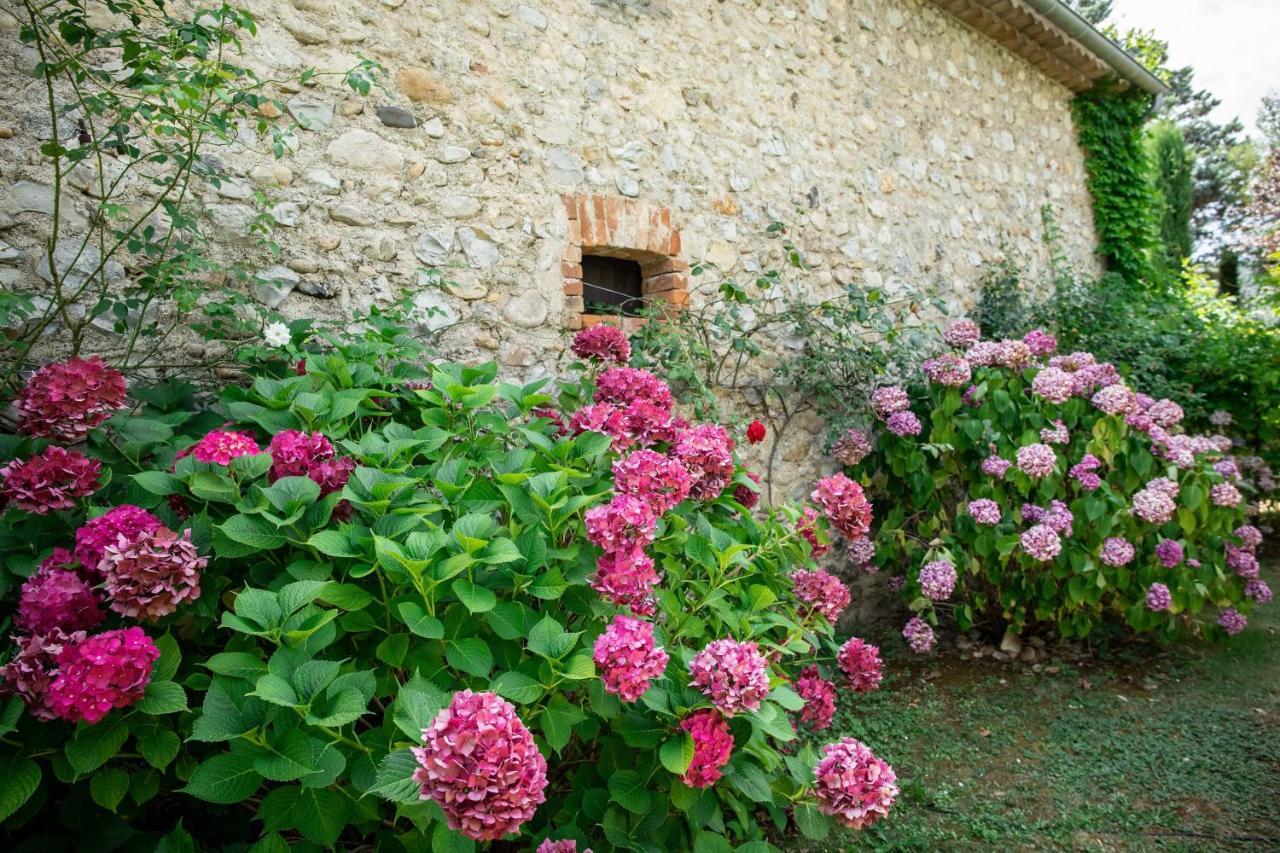 Gîte Mon Paradis Vallon-Pont-dʼArc Exterior foto